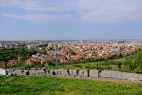 Imagine atasata: dealciupercaoradea2-scaled.jpg